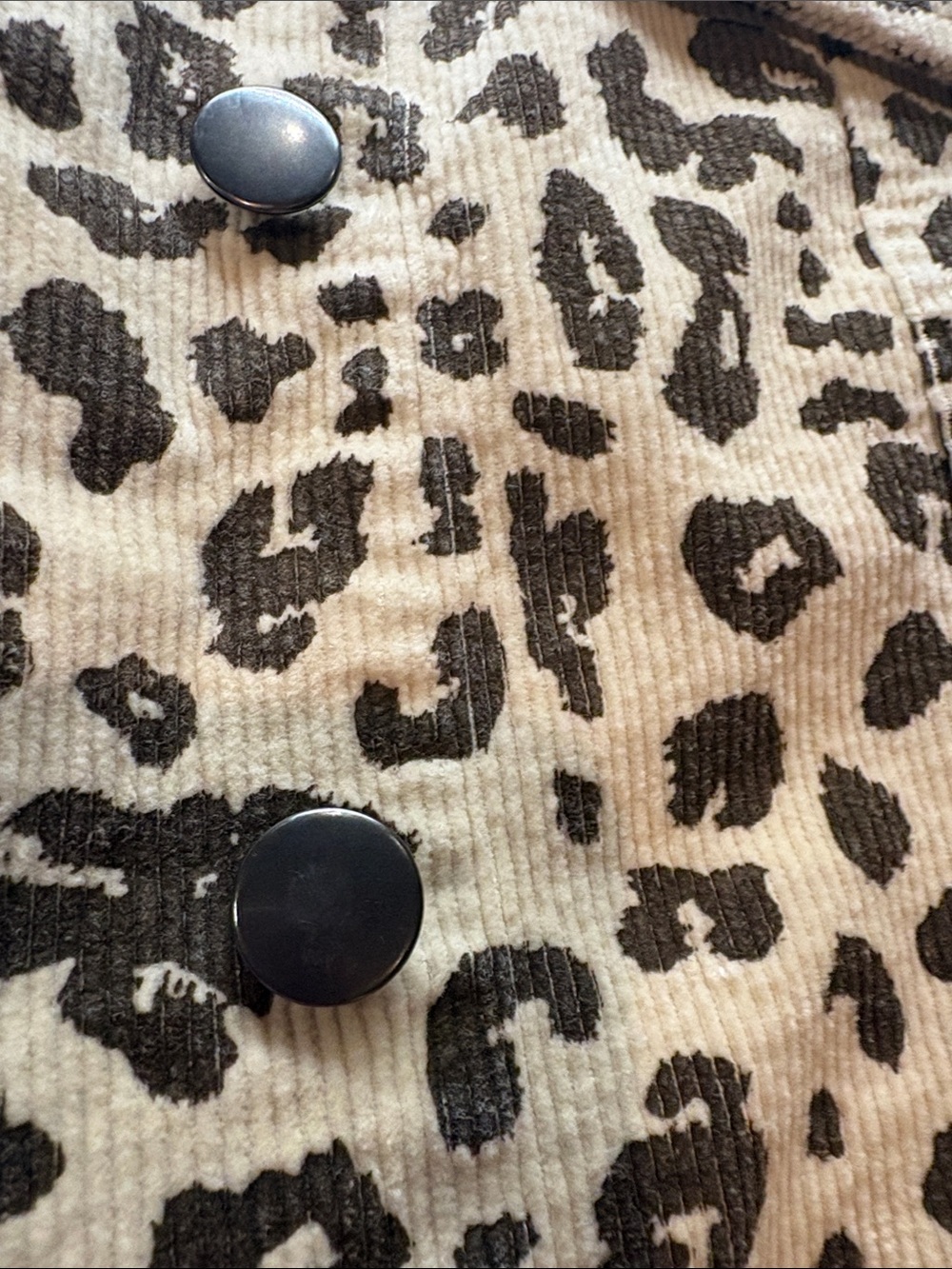 Mystree Cream and Brown Leopard Print Jacket Size Small - Picture 2 of 5